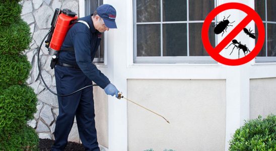 Babadağ Dezenfeksiyon böcek ilaçlama ve haşere kontrolü — ilaclama-tr.com